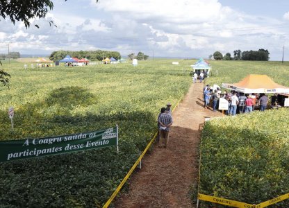 Dias de Campo Descentralizados Movimentaram as Unidades da Coagru