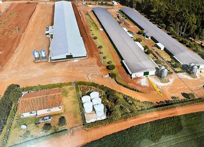 falha-no-fornecimento-de-energia-causa-morte-de-quase-15-mil-aves-em-roncador