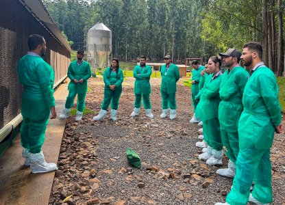 Equipe da Unidade Avícola da Coagru participa da 2ª etapa do Treinamento Técnico de Manejo