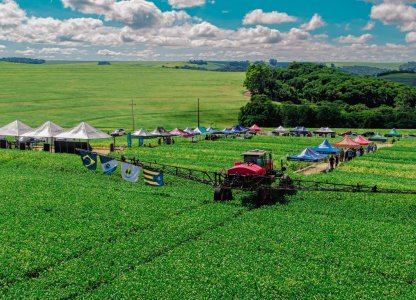 Dias de Campo Descentralizados levam inovação e conhecimento técnico às propriedades dos associados