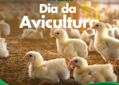 Dia da Avicultura!