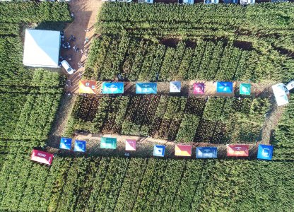 Unidade de Yolanda realiza Dia de Campo Descentralizado