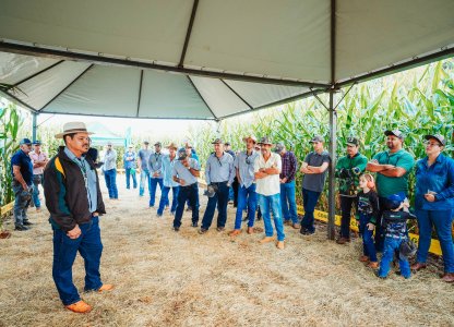 Dia de Campo Descentralizado destaca tecnologias e manejo no milho em Nova Cantu