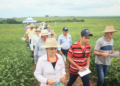 Dias de Campo Descentralizados: grande participação dos cooperados