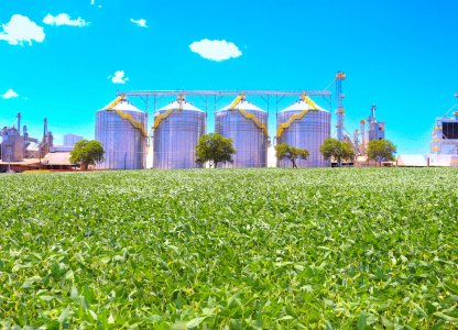 Coagru: cooperativa recebe o maior volume de cereais de sua história