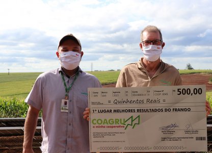 MELHORES RESULTADOS DO FRANGO MAIO 2021