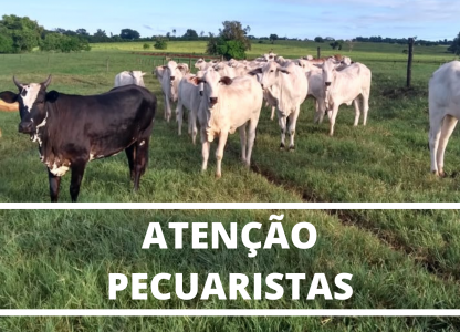 Orientação aos pecuaristas sobre casos de raiva em animais