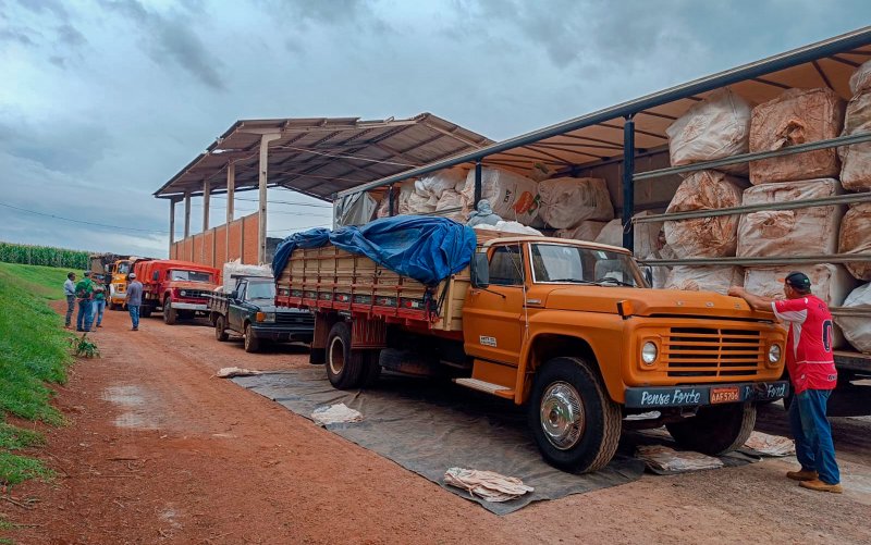 Meio Ambiente: descarte correto de embalagens de defensivos agrícolas