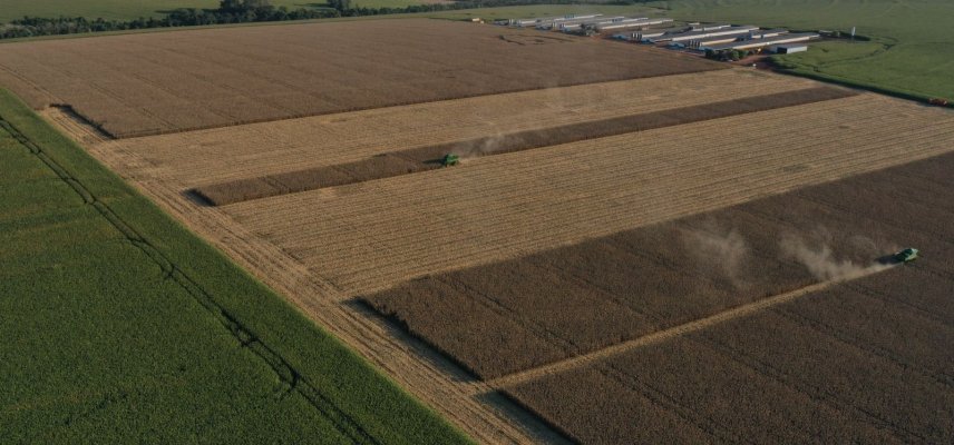 COLHEITA DO MILHO 2ª SAFRA 