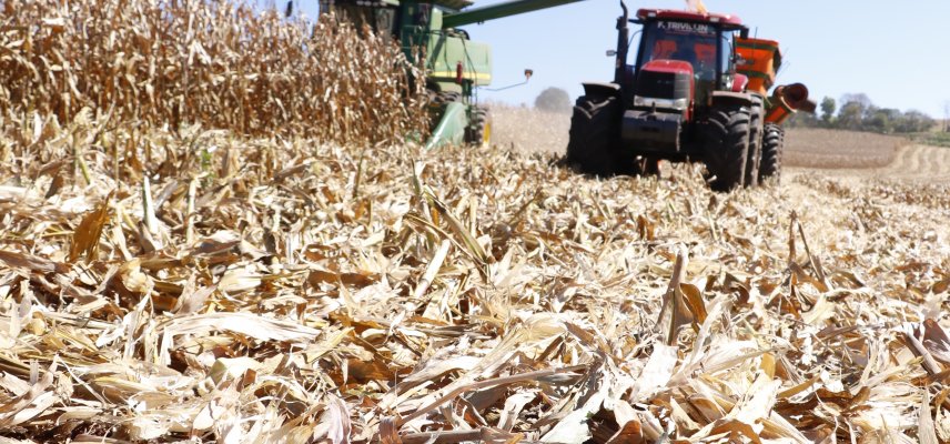 SAFRA DE SOJA SEVERAMENTE PREJUDICADA MAS 2ª SAFRA DE MILHO DEVERÁ AMENIZAR OS PREJUÍZOS