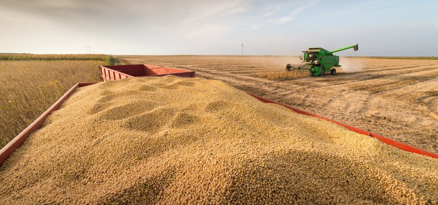 Pragas quarentenárias e sementes tóxicas