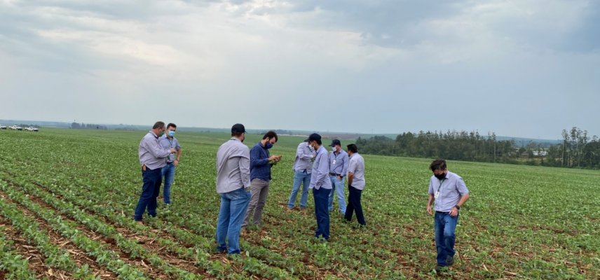 Departamento Técnico da Coagru recebe nematologista para treinamento