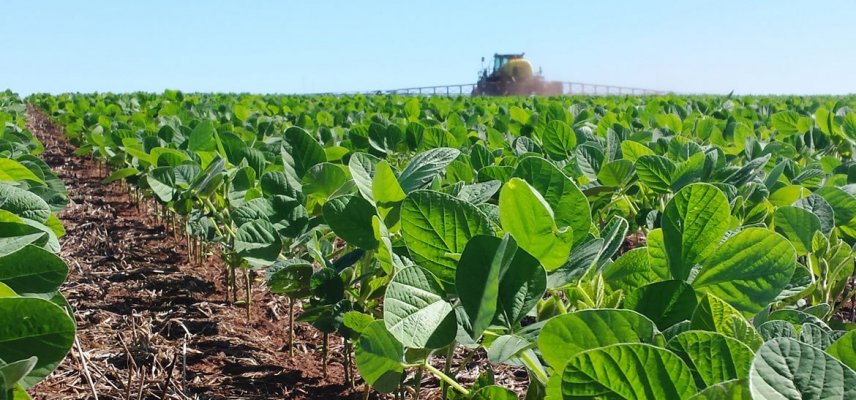 Cuidados iniciais na Cultura da Soja 