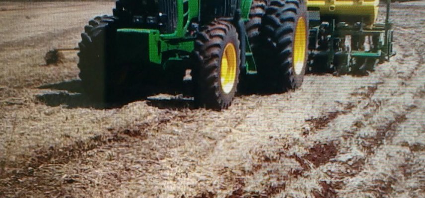 Cuidados no manejo inicial do milho 2ª safra