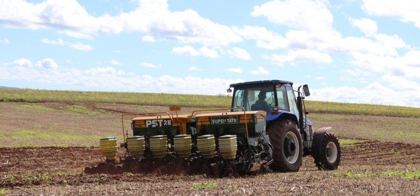 PLANTIO DO MILHO 2ª SAFRA