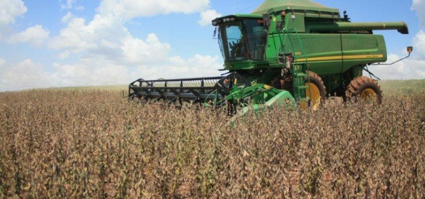 Fase final da colheita de soja e plantio de milho 2ª safra