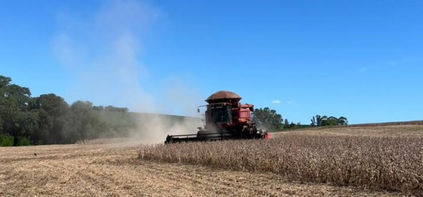 Safra 2025/2026: evolução da soja e perspectivas para a colheita