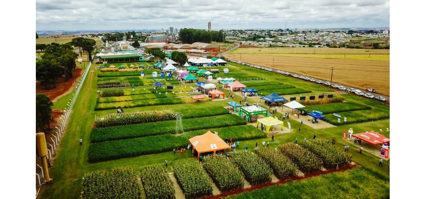 Dia de Campo Verão 2025: inovação e interação na Unidade Experimental da Coagru