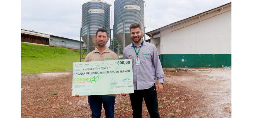 Melhores Resultados do Frango - Novembro 