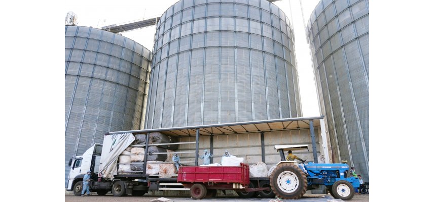 Yolanda e Rio Verde recolhem embalagens vazias de defensivos agrícolas