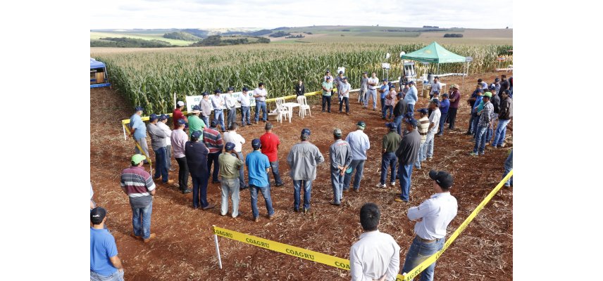 Dias de Campo Descentralizados Movimentaram as Unidades da Coagru