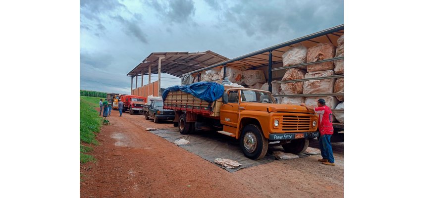 Meio Ambiente: descarte correto de embalagens de defensivos agrícolas
