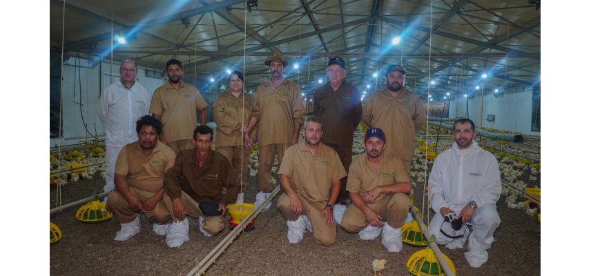 Treinamento para granjeiros reforça boas práticas na avicultura