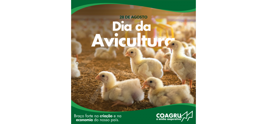 Dia da Avicultura!