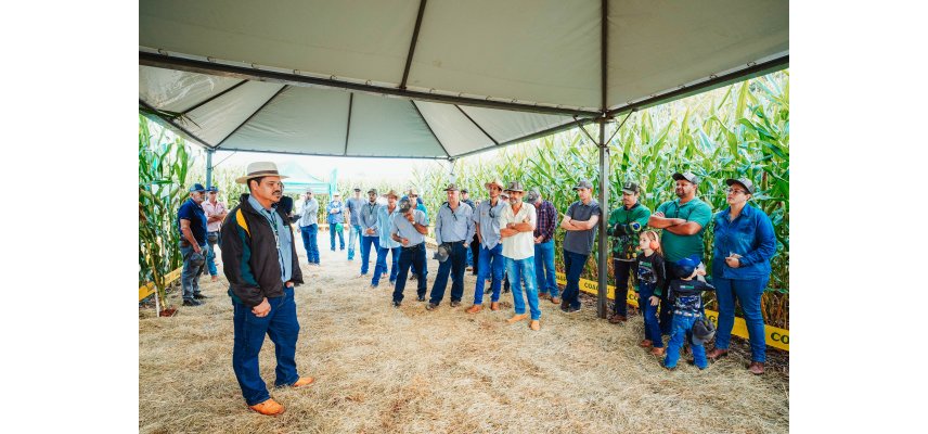 Dia de Campo Descentralizado destaca tecnologias e manejo no milho em Nova Cantu