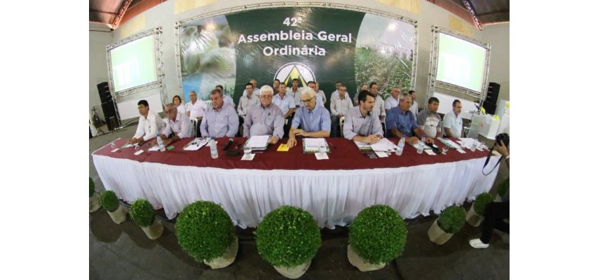 Coagru cresce 25% e anuncia faturamento recorde