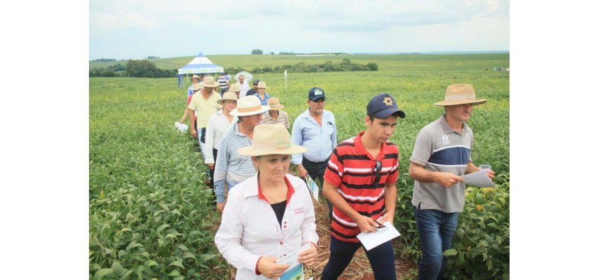 Dias de Campo Descentralizados: grande participação dos cooperados