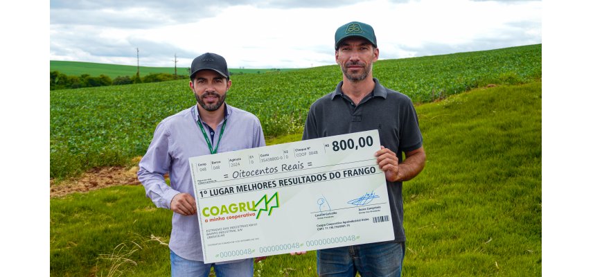 OUTUBRO  MELHORES RESULTADOS DO FRANGO