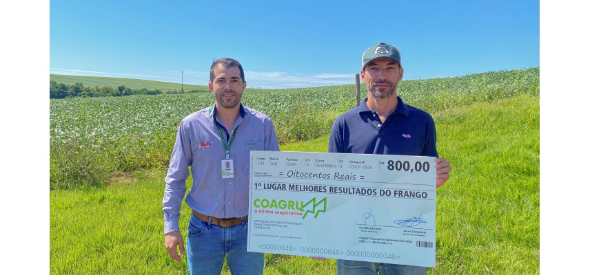 Melhores Resultados do Frango - Dezembro 2024