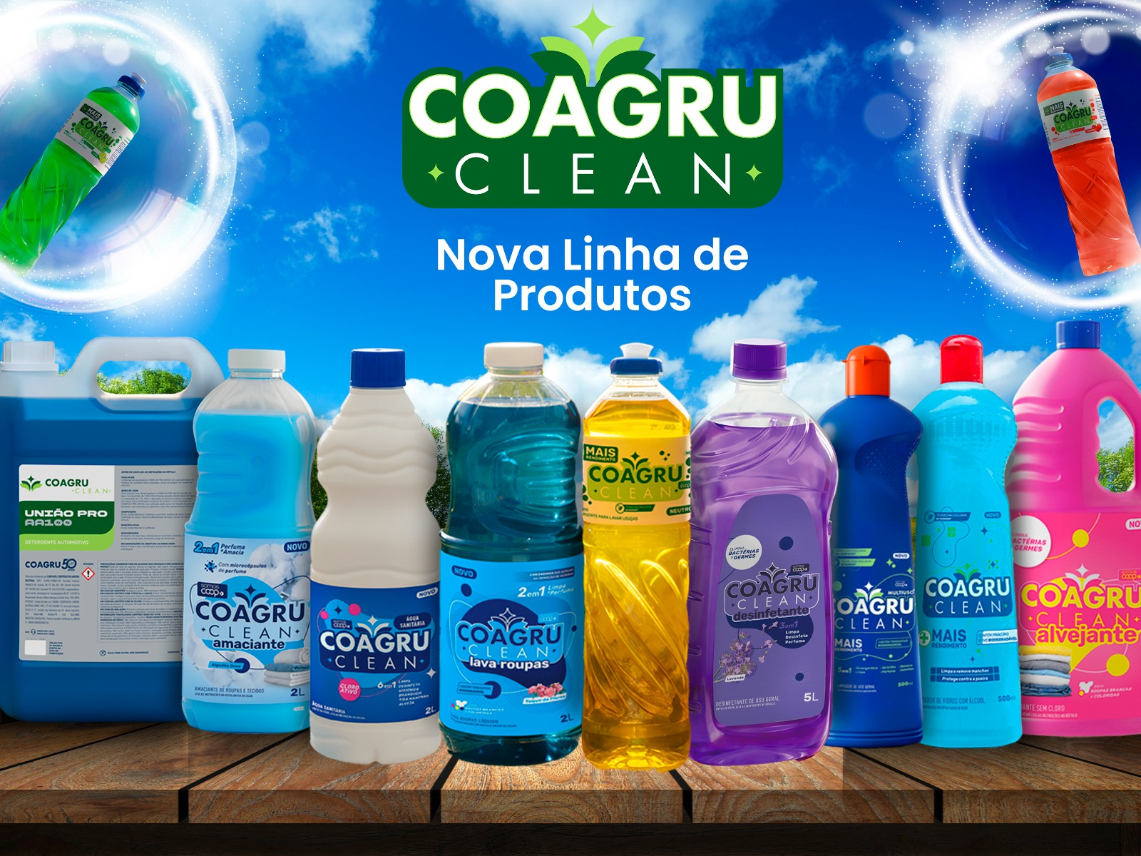 Limpeza Dom?stica e Saniantes