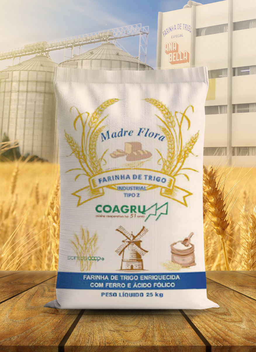 Farinha de Trigo Industrial Tipo 2 25kg